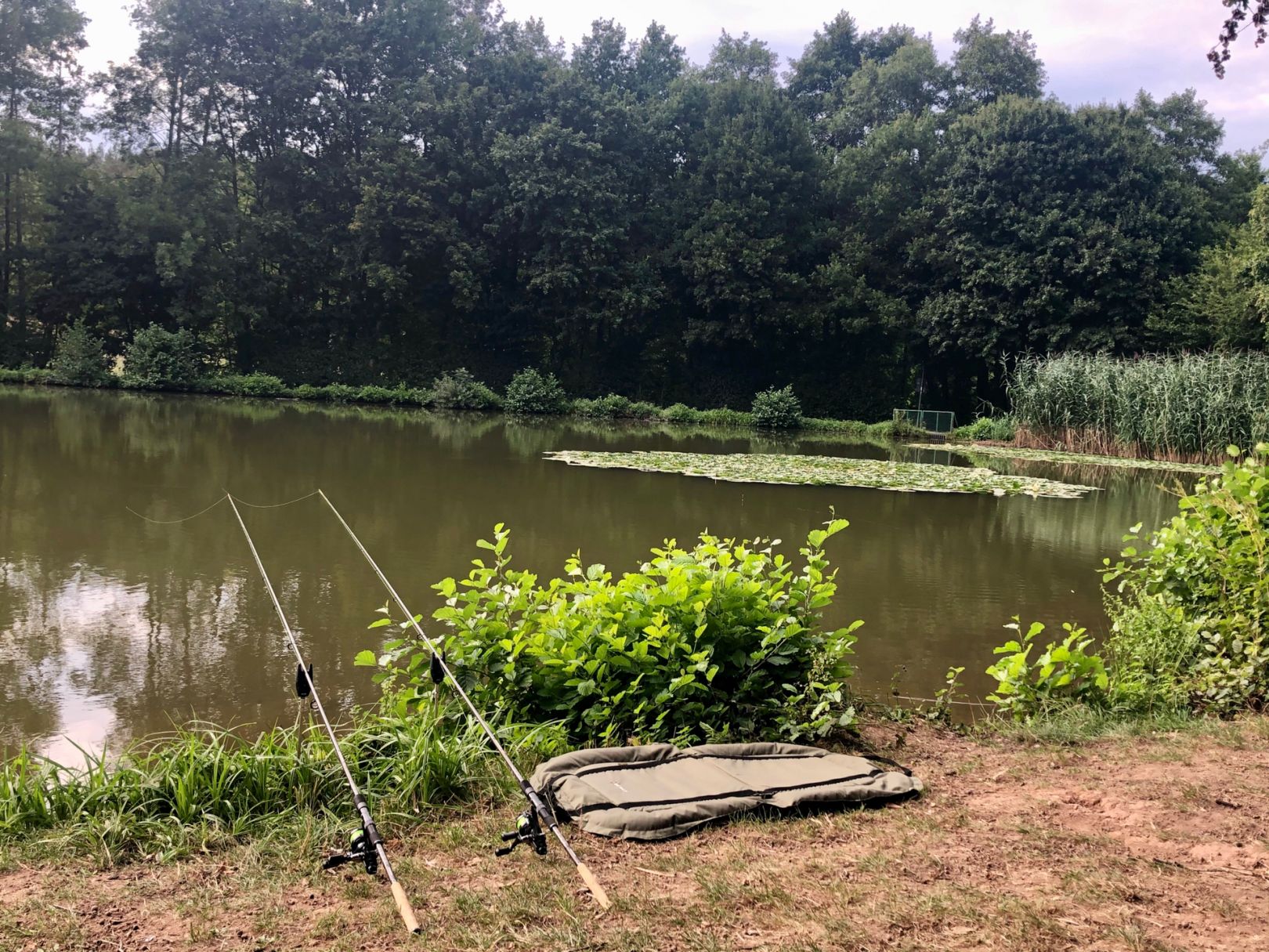 Hollersee (Buchen) angeln