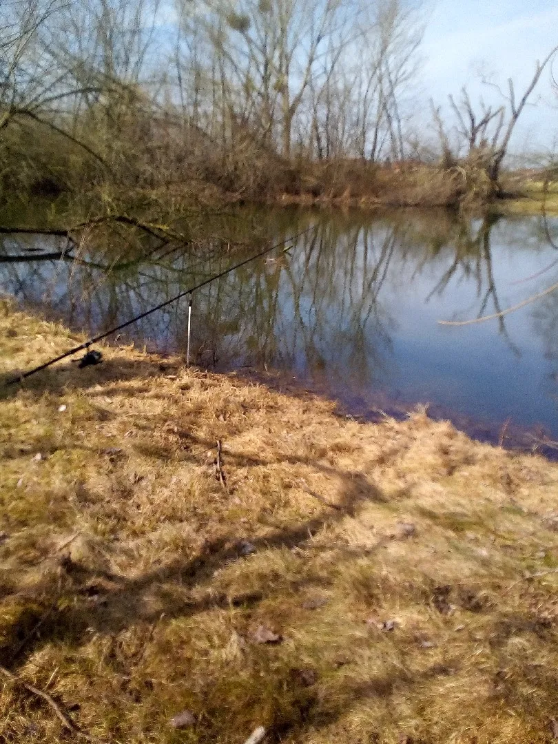Teiche Nedlitz angeln