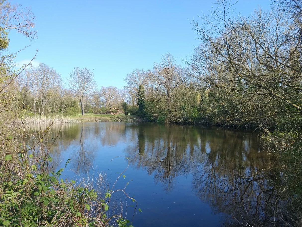 Teiche Nedlitz angeln