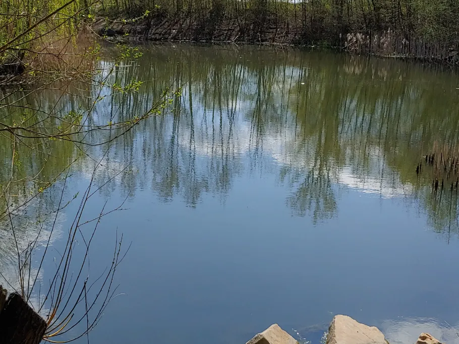Teiche am Wasserwerk Sietzsch angeln