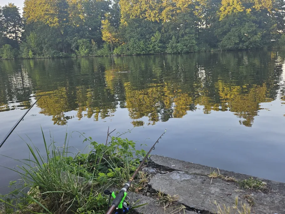 Möllenzugsee angeln