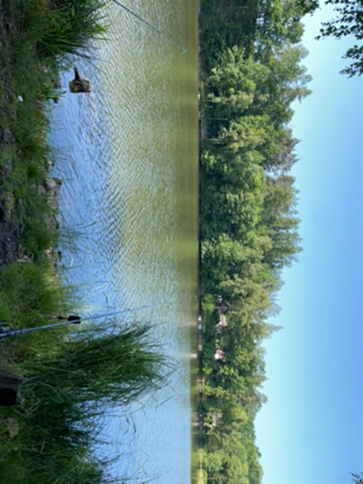 Trnávka angeln