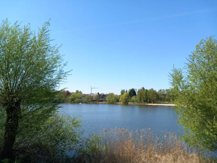 Herrenteich (Reinfeld) angeln