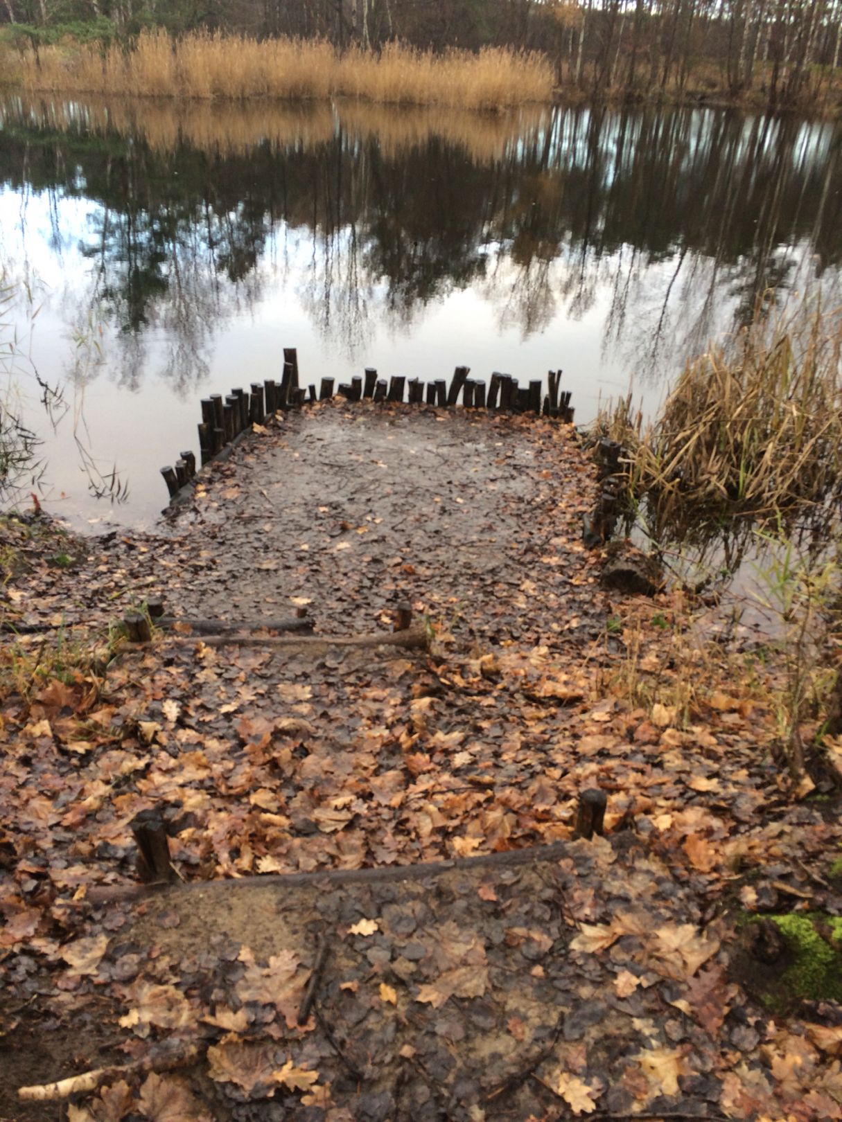 Kiesgrube Löwendorf (Gröben) angeln
