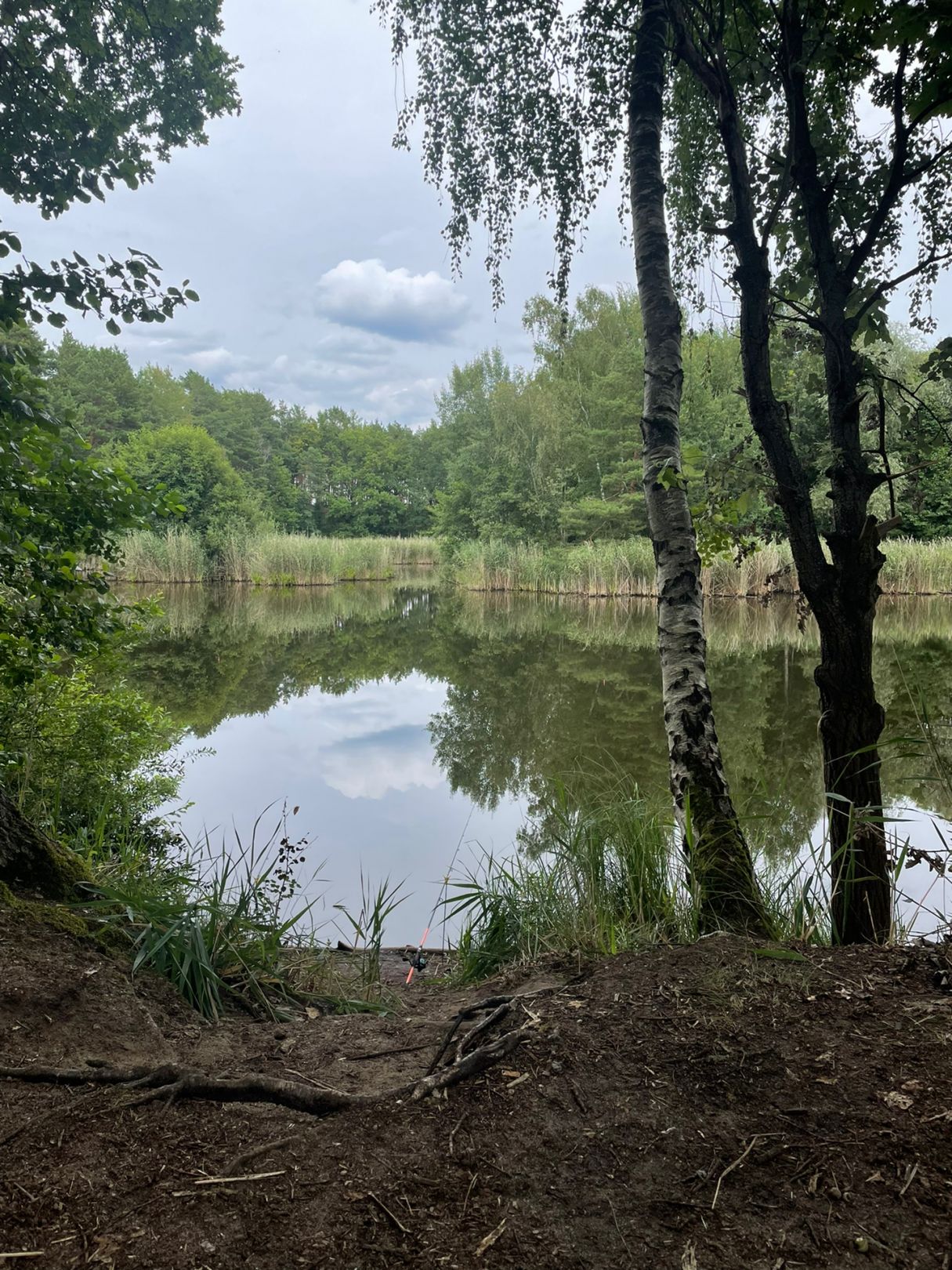 Kiesgrube Löwendorf (Gröben) angeln