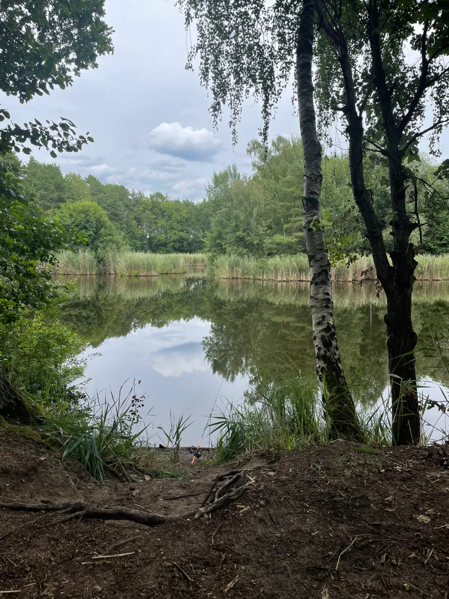 Kiesgrube Löwendorf (Gröben) angeln