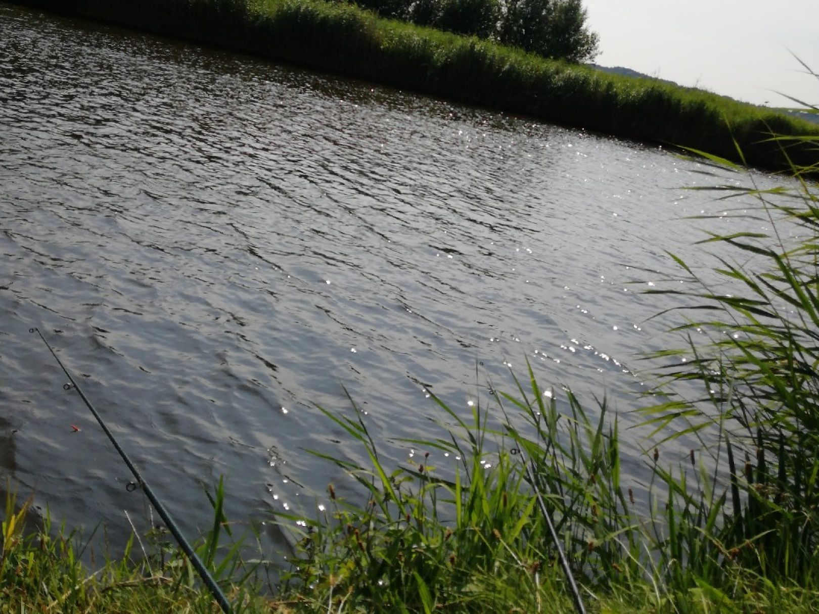 Noord-Holland-Kanal (Burgerbrug) angeln
