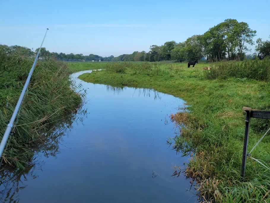 Abbehauser Sieltief angeln