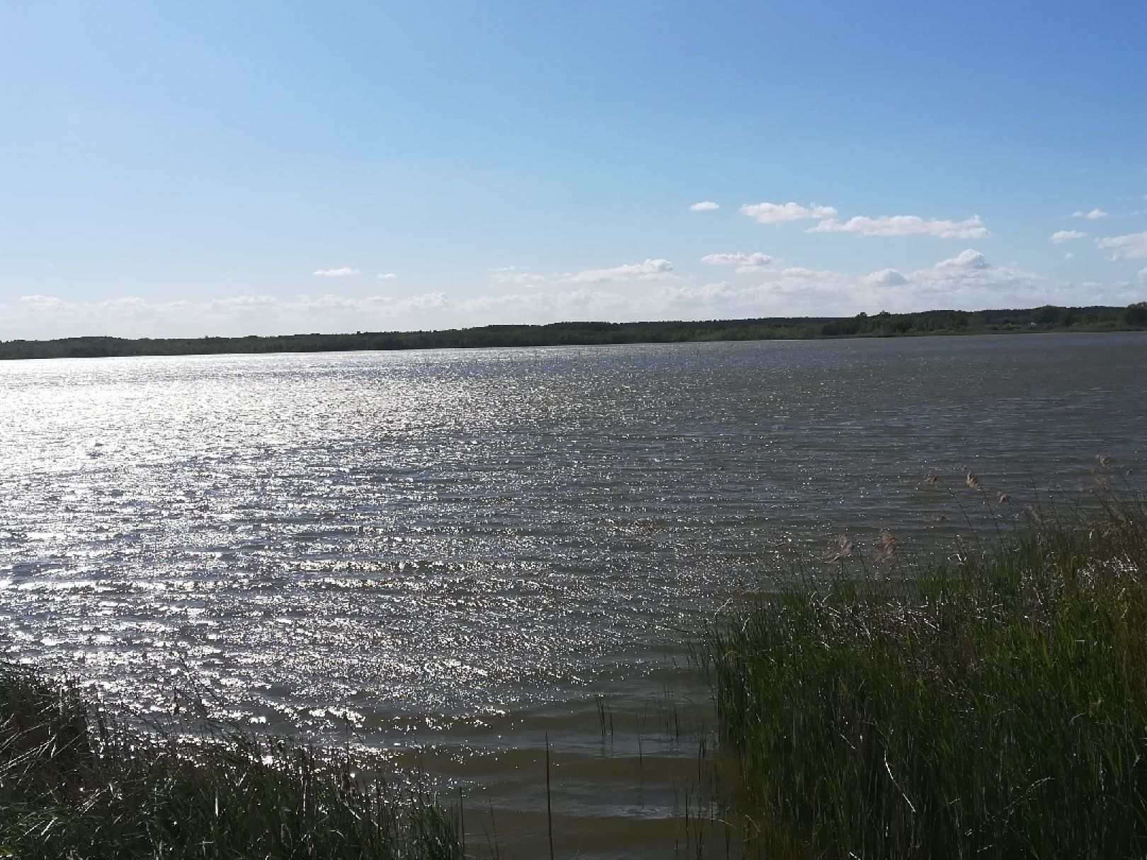 Zierker See angeln