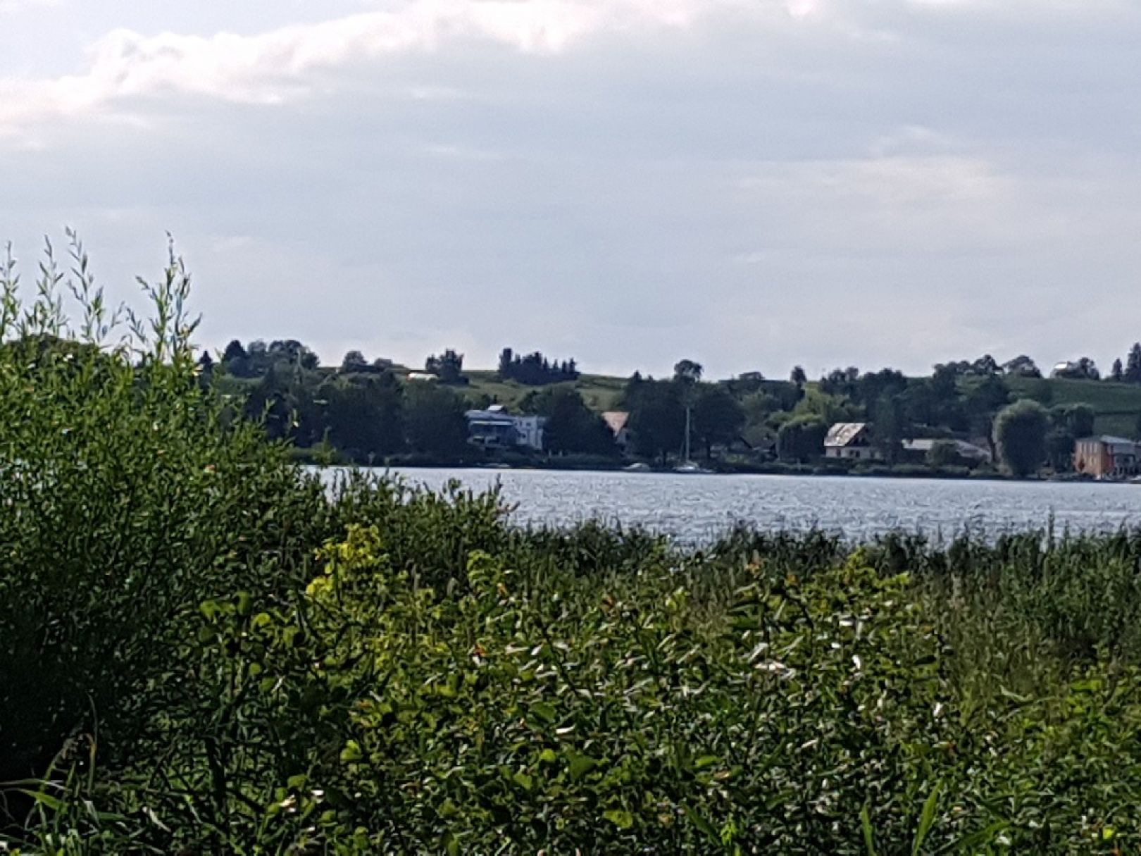 Schwielowsee angeln
