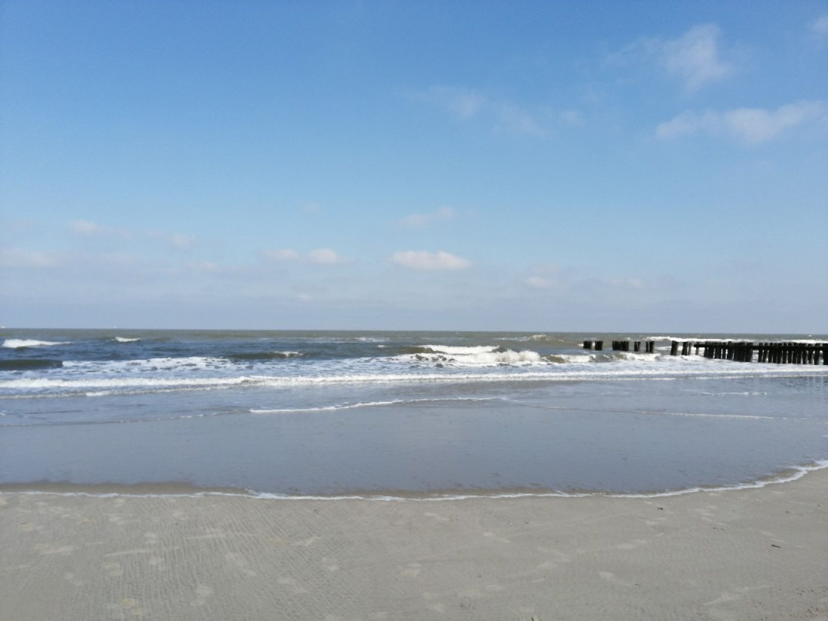 Nordsee (Wangerooge) angeln