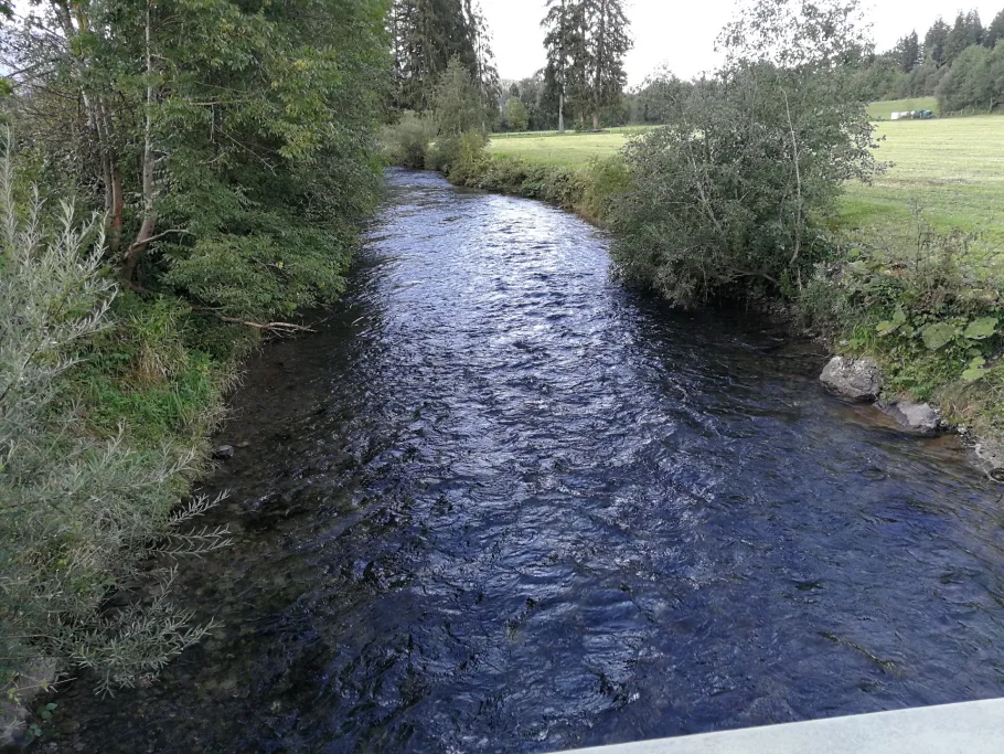 Grundbach (Fischen) angeln