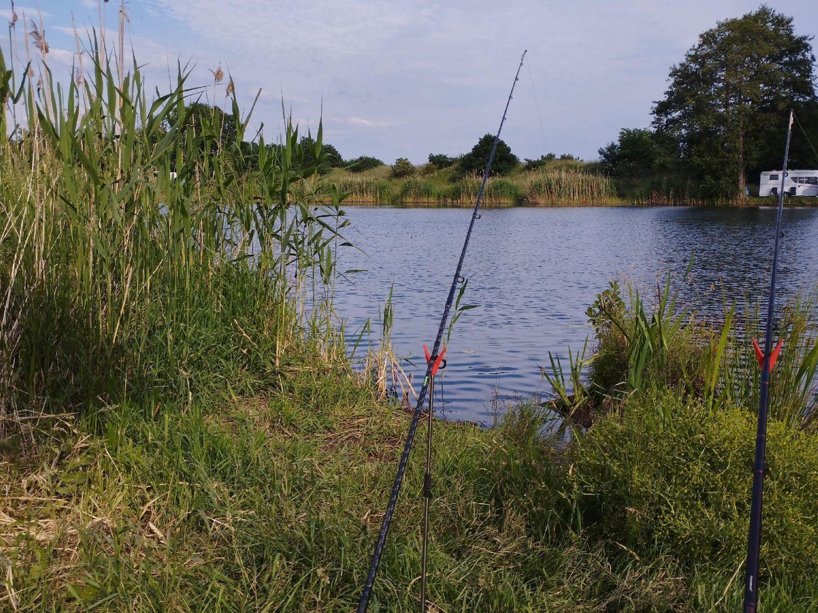 Rehsener See angeln