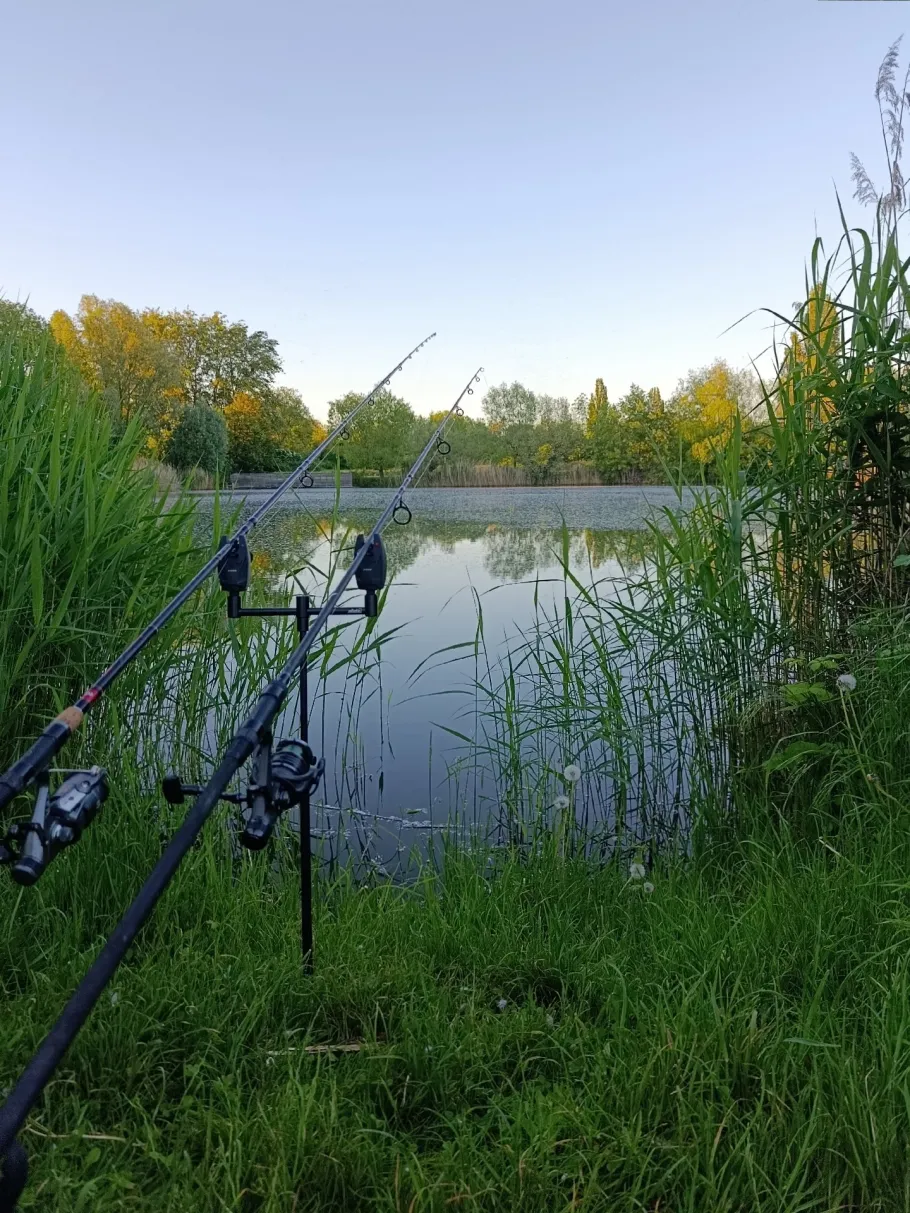 Wasserlebener Teich angeln