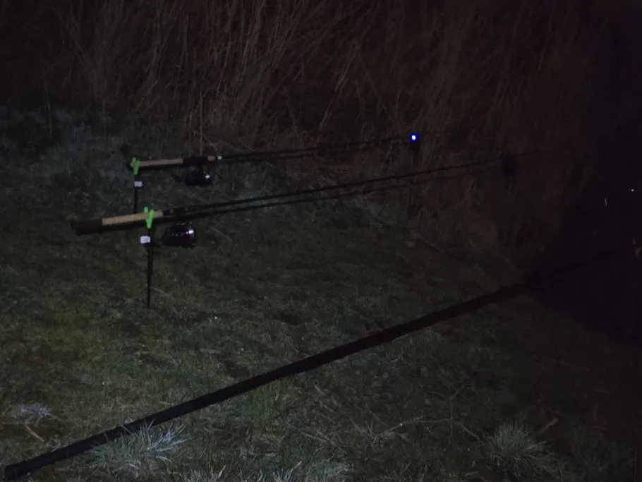 Wasserlebener Teich angeln