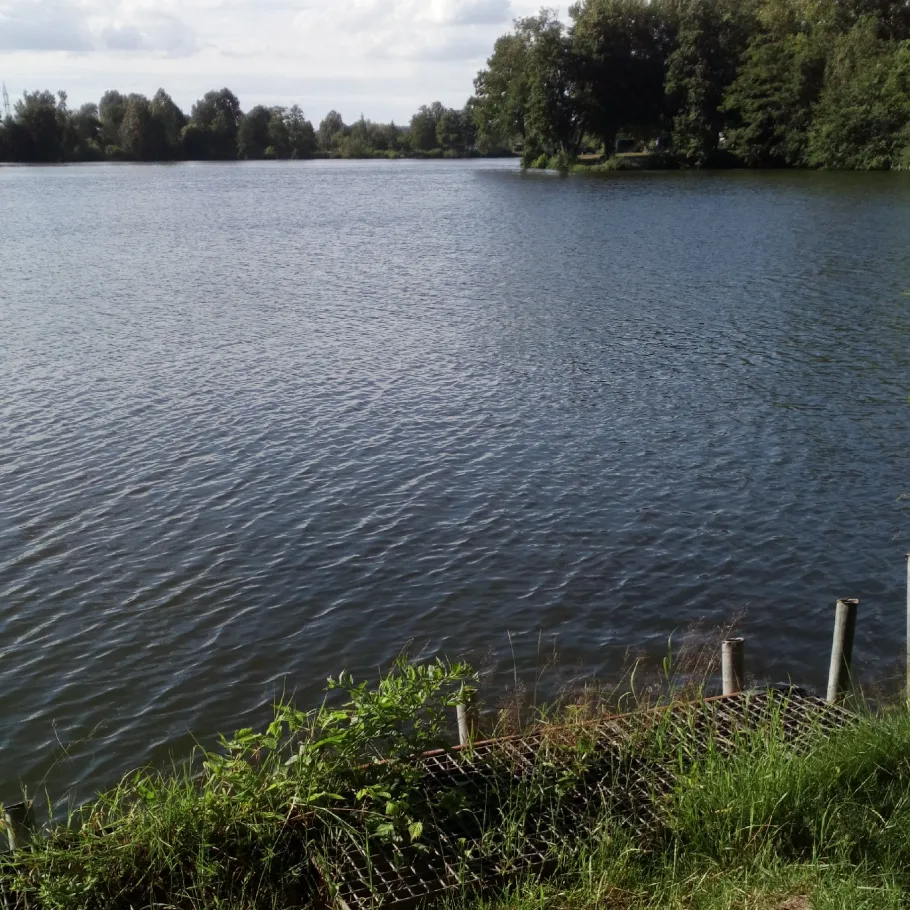 Nolteseen (Rodenbach) angeln