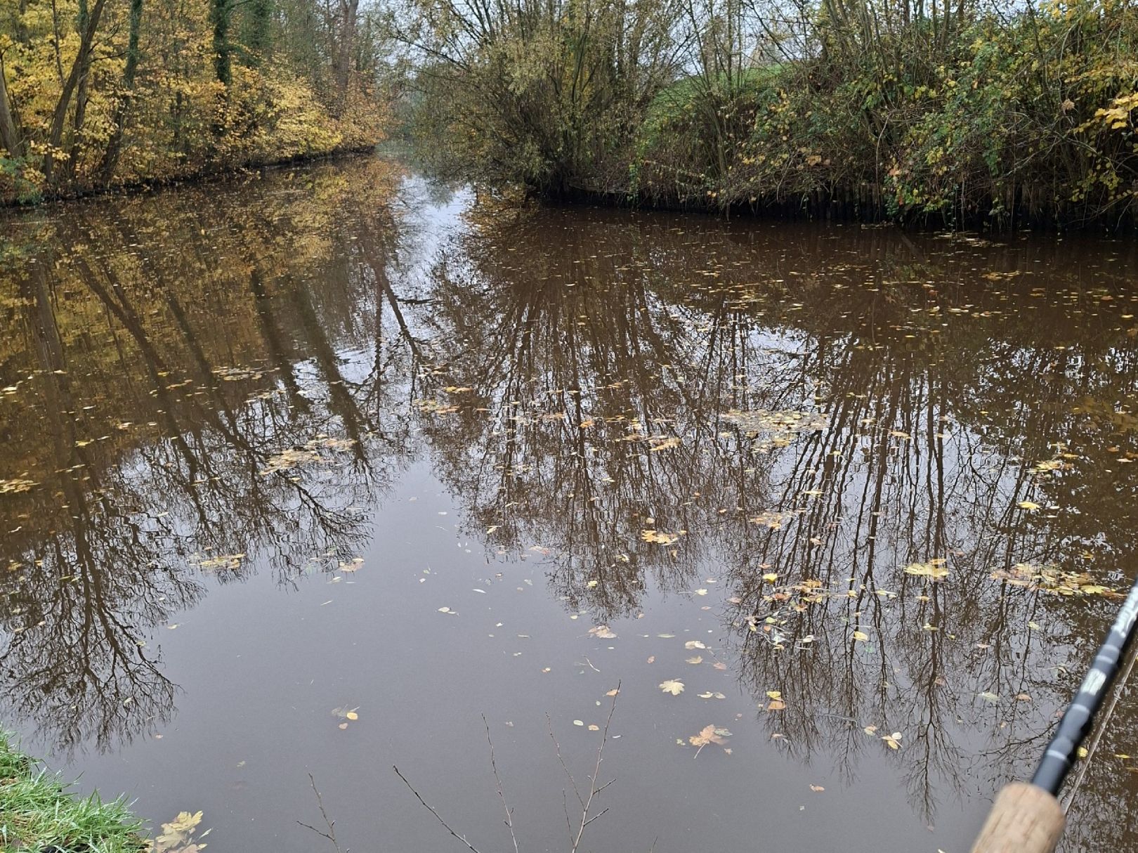 Aue (Neuhaus/Oste) angeln
