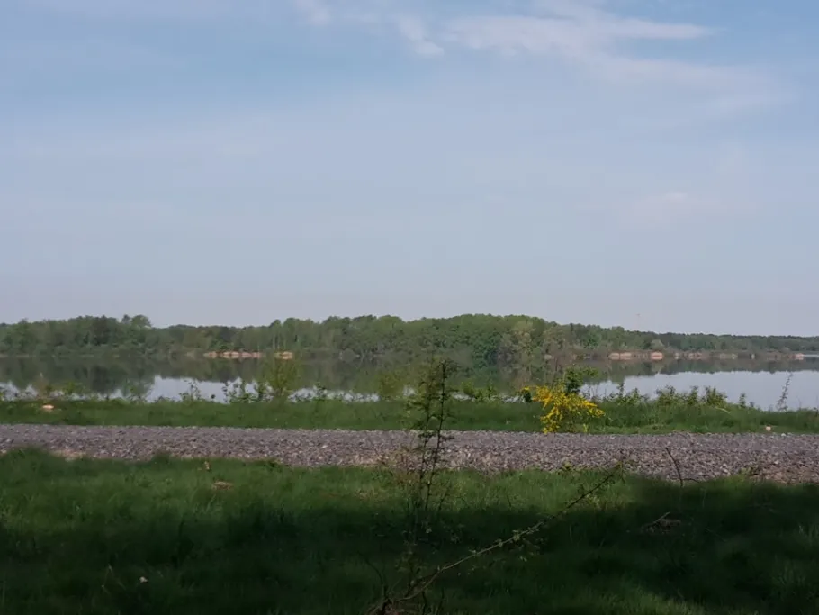 Knappensee (Groß Särchen) angeln