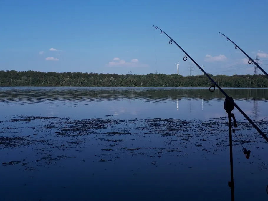 Knielinger See angeln