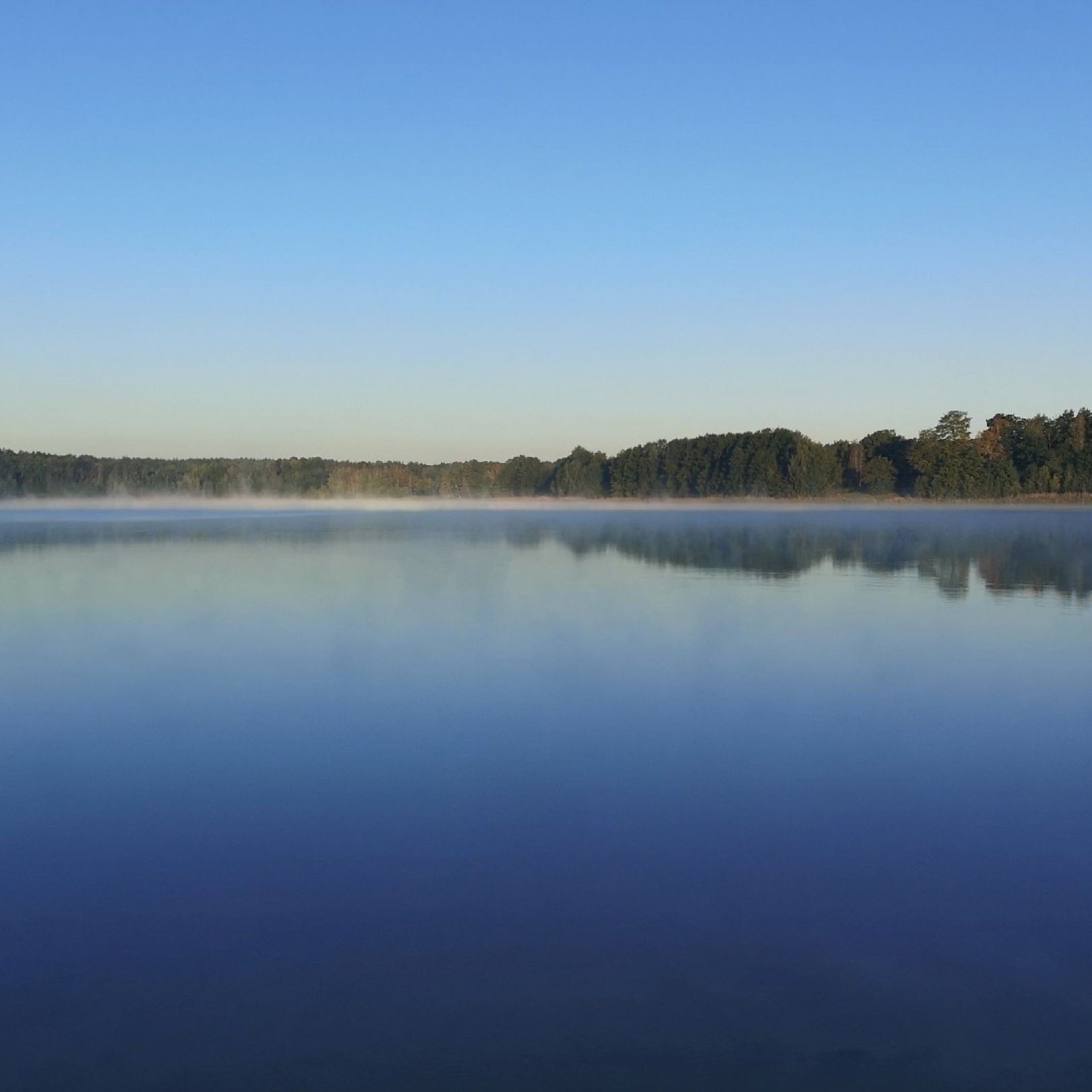 Großsee (Tauer) angeln