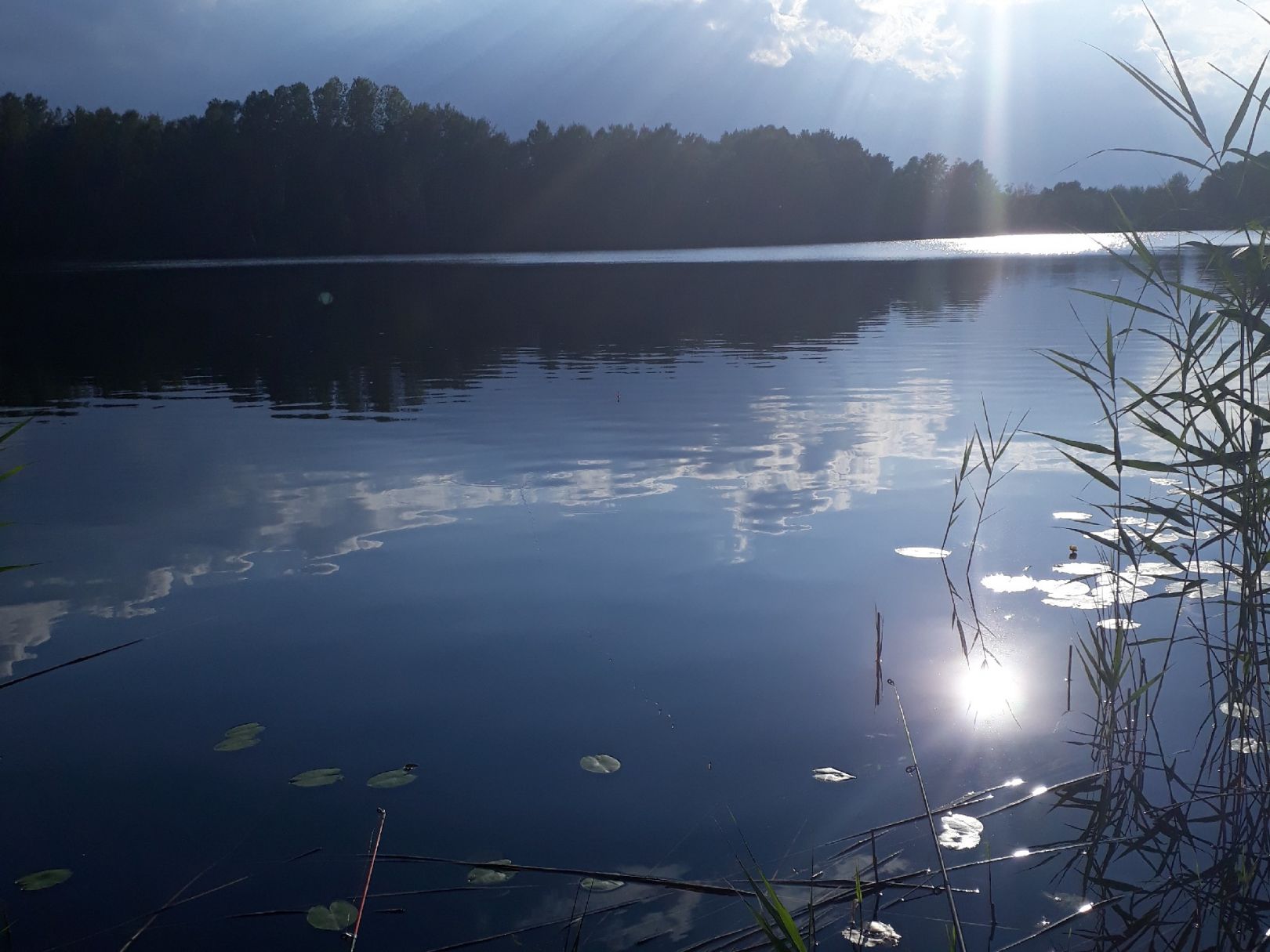 Angeln im Landkreis Oberhavel