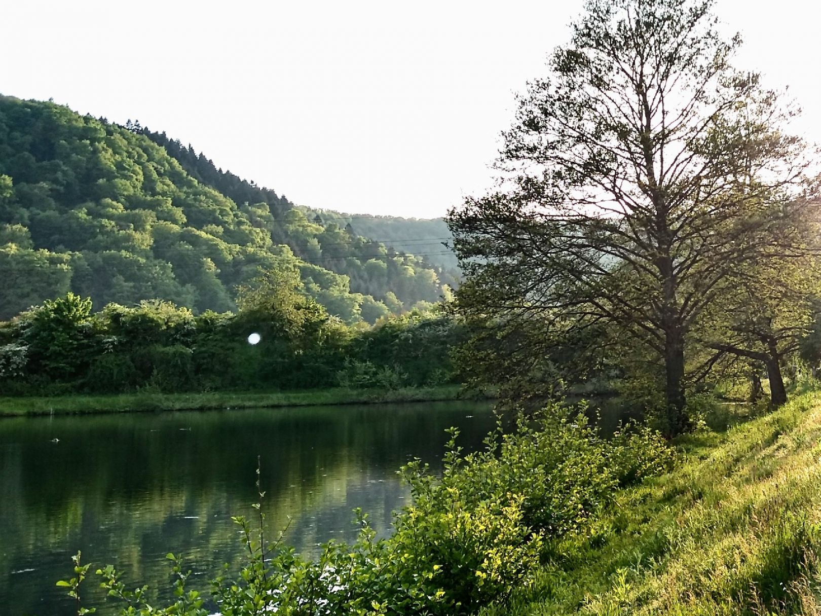 In den Steinen (Dillingen/Saar) angeln