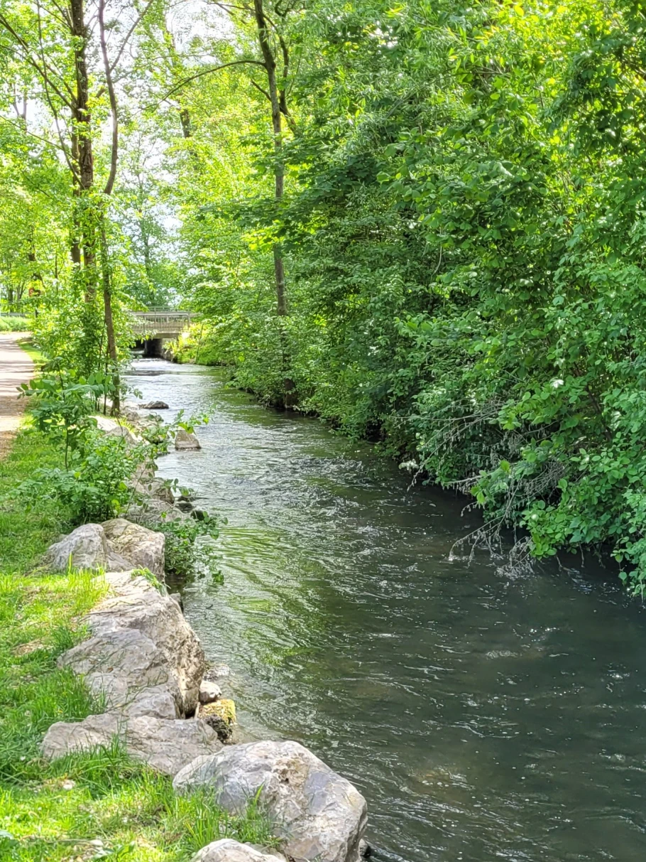 Gänsbach (Oberschleißheim) angeln