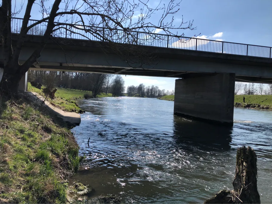 Donau (Gögglingen) angeln