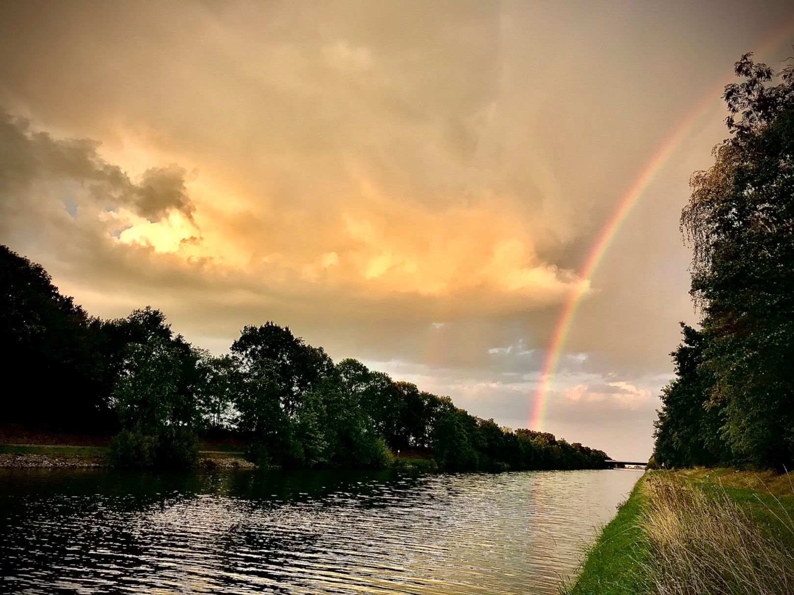 Mittellandkanal (Edesbüttel) angeln