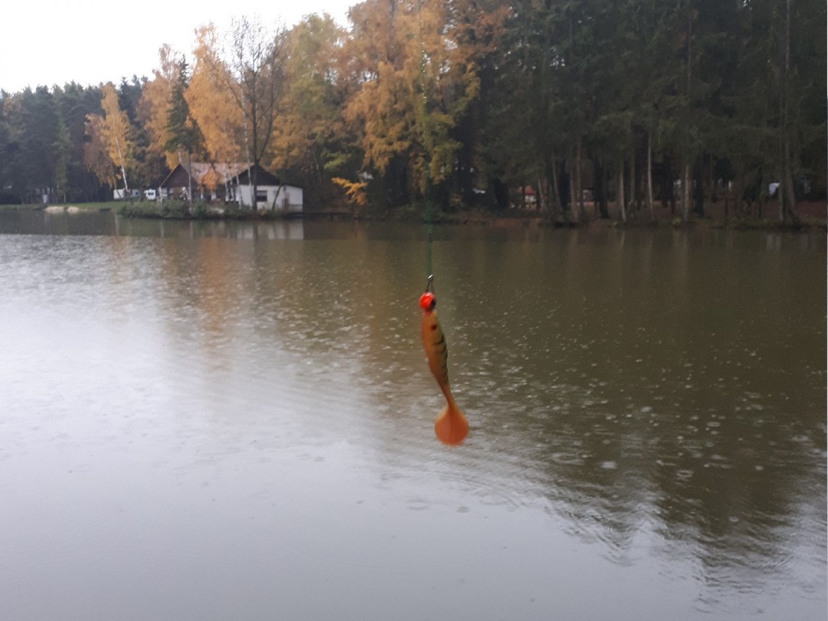 Angeln in Dietenhofen