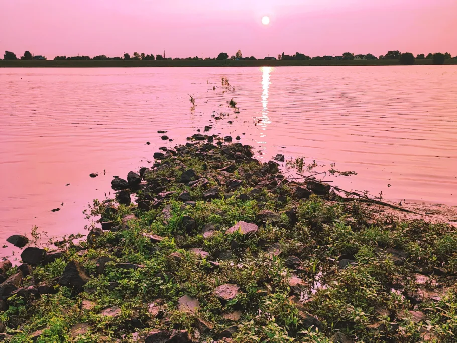 Elbe (Kirchwerder-Howe) angeln