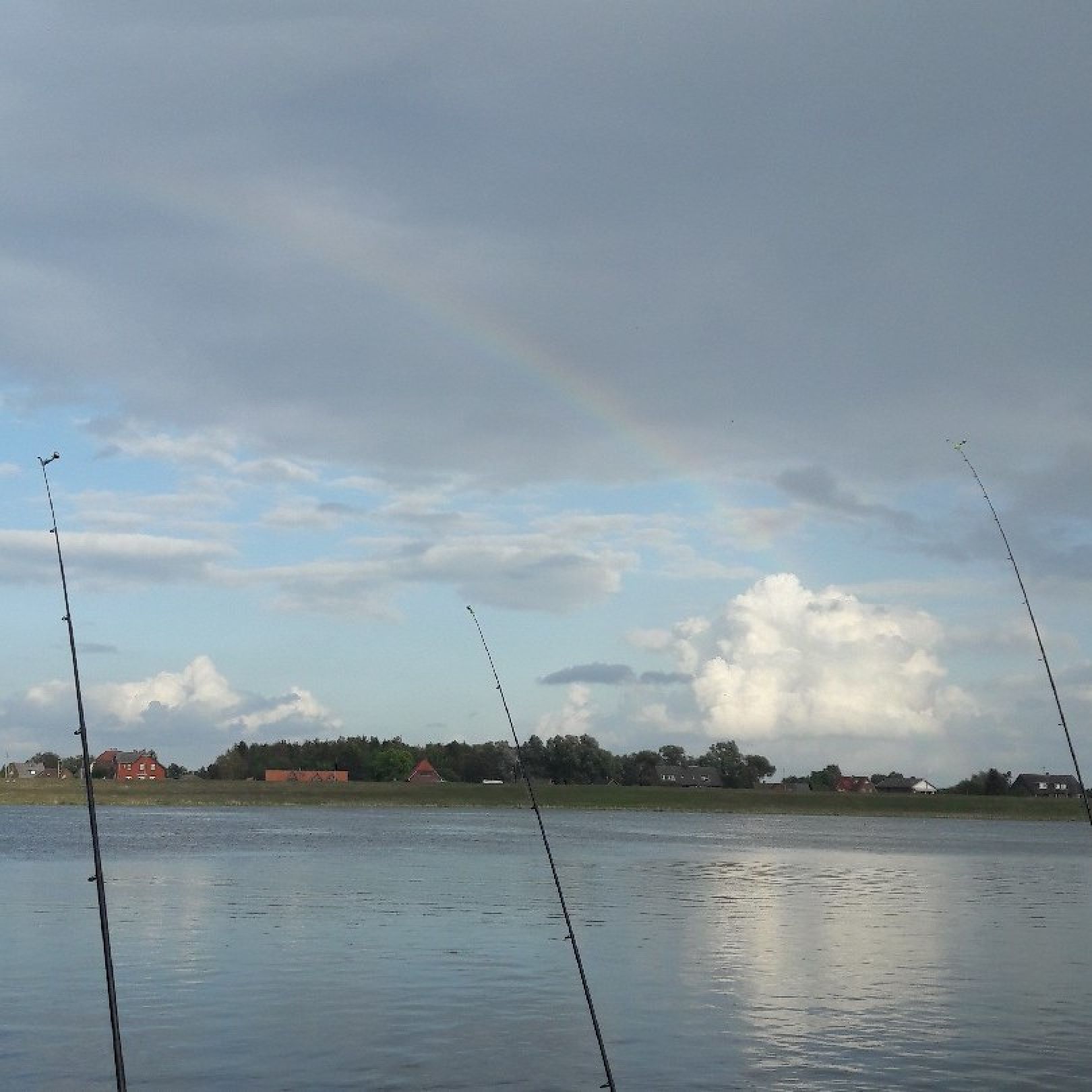 Elbe (Kirchwerder-Howe) angeln