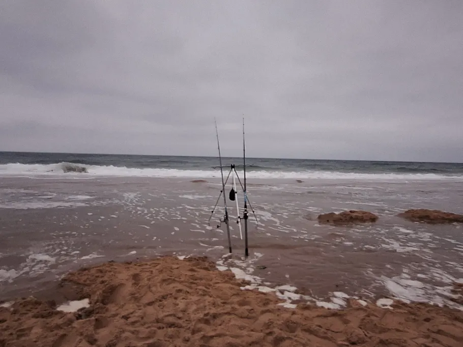 Nordsee (Callantsoog) angeln