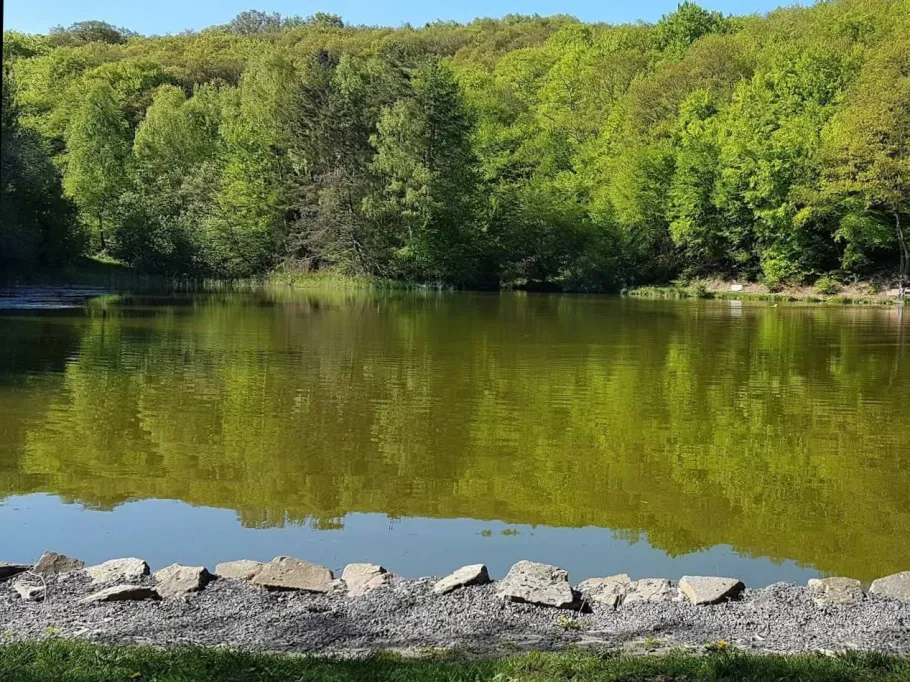 Feuerbachteich (Düngenheim) angeln