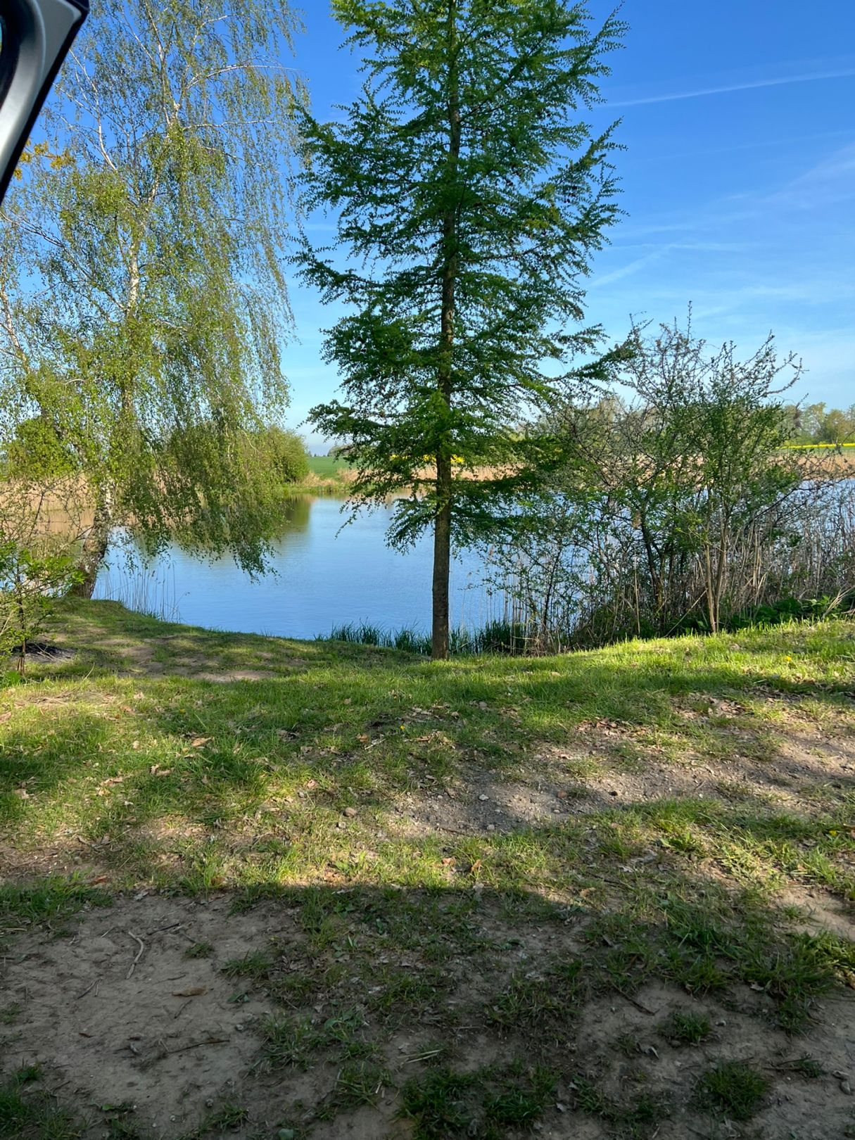 Sandsee (Großer Lunower See) angeln