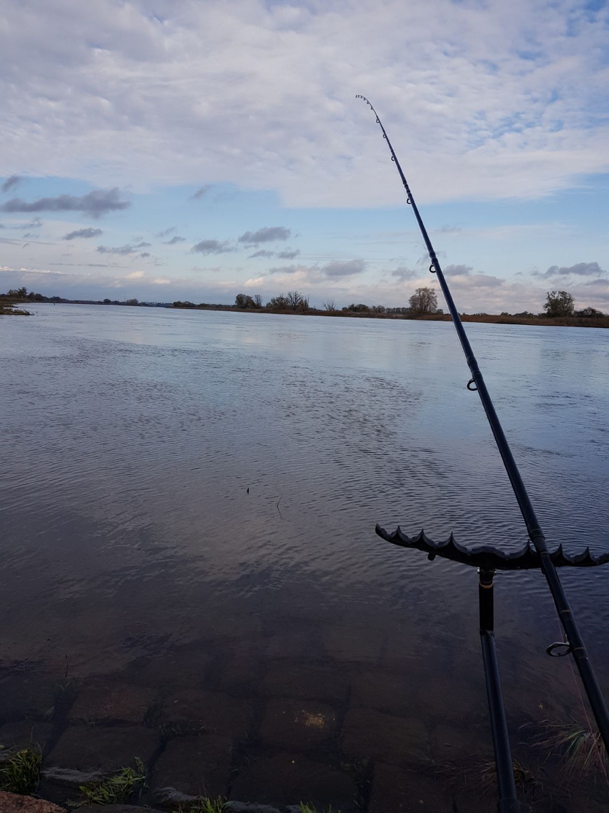 Angeln in Wust-Fischbeck