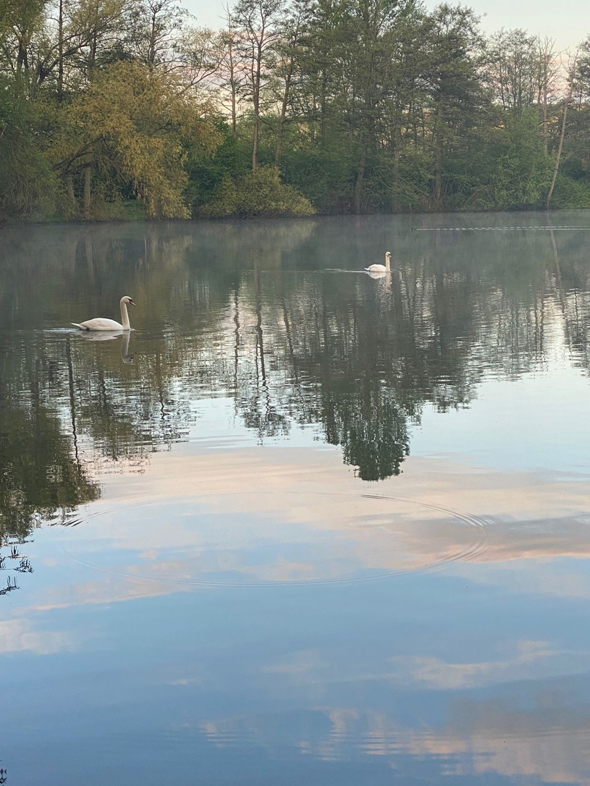 Teich bei Klein Schneen  angeln