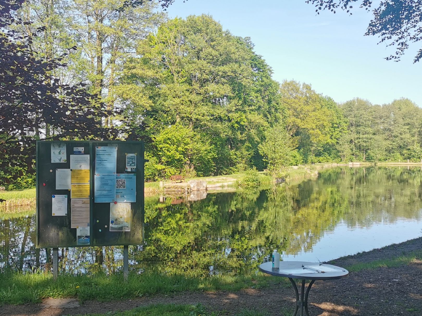 Angeln in Lütjensee