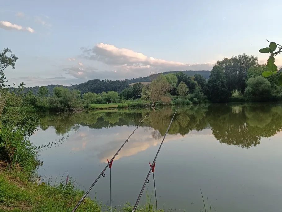 Lispenhausen Teich 1 angeln