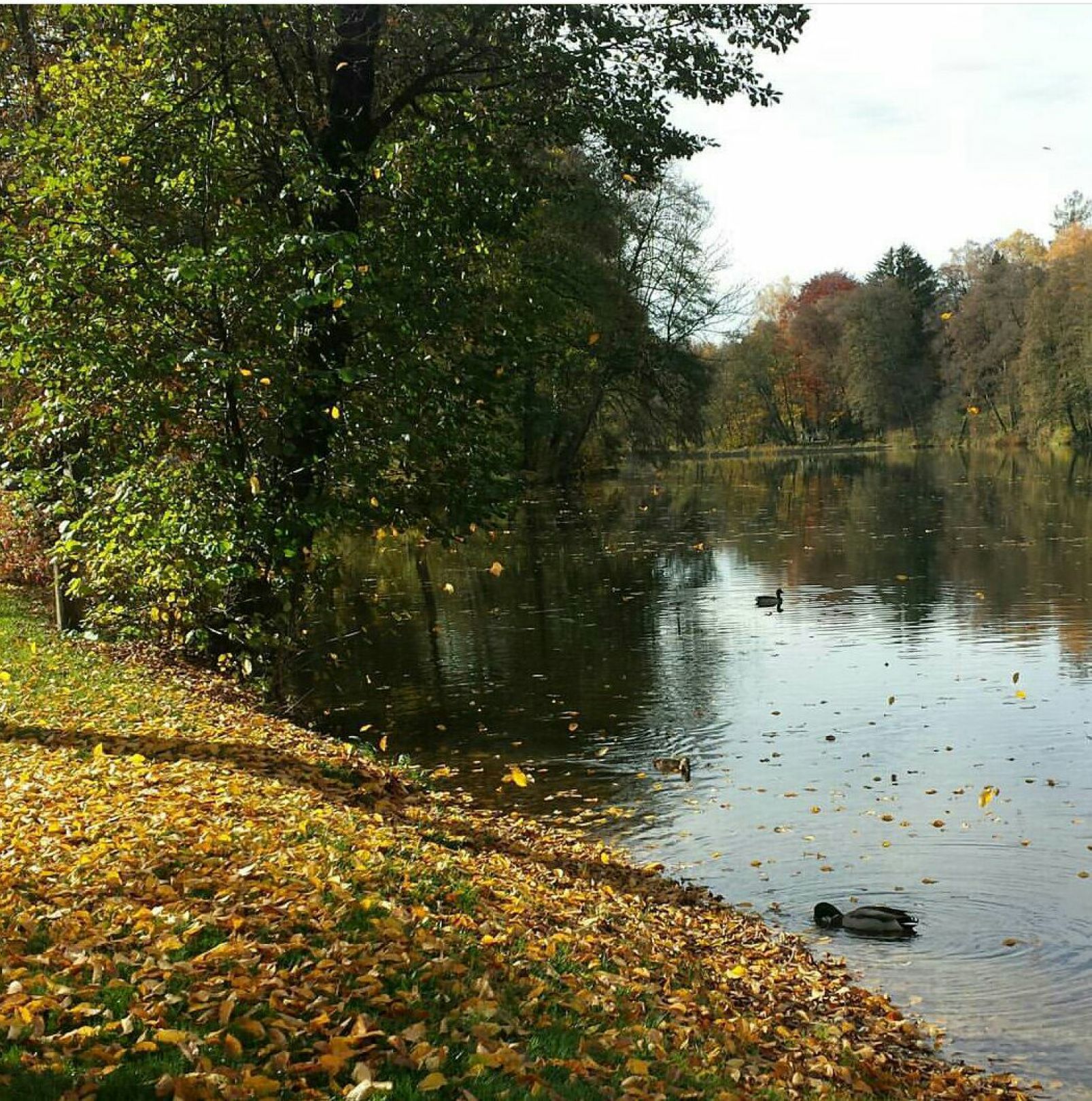 Angeln im Landkreis Ebersberg