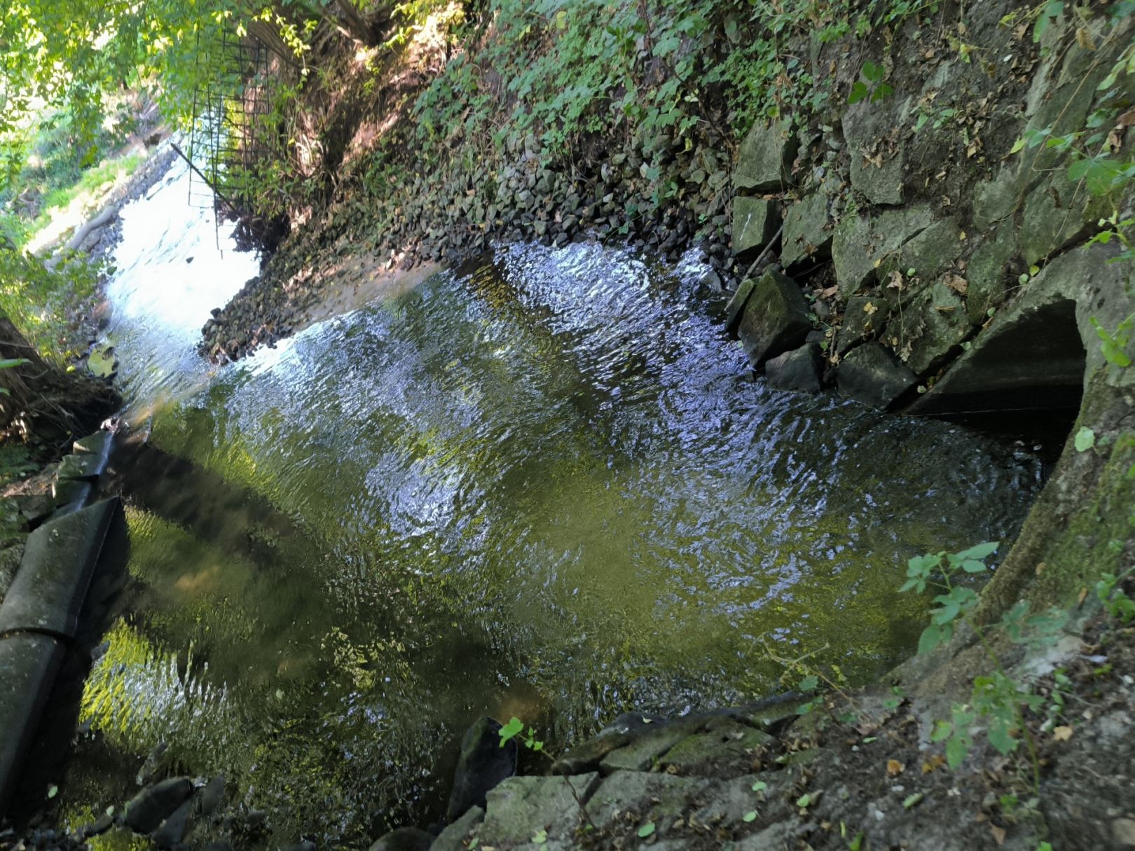 Ölbach (Schloß Holte-Stukenbrock) angeln