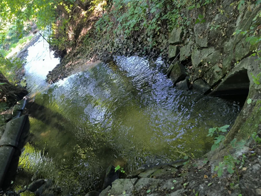 Ölbach (Schloß Holte-Stukenbrock) angeln