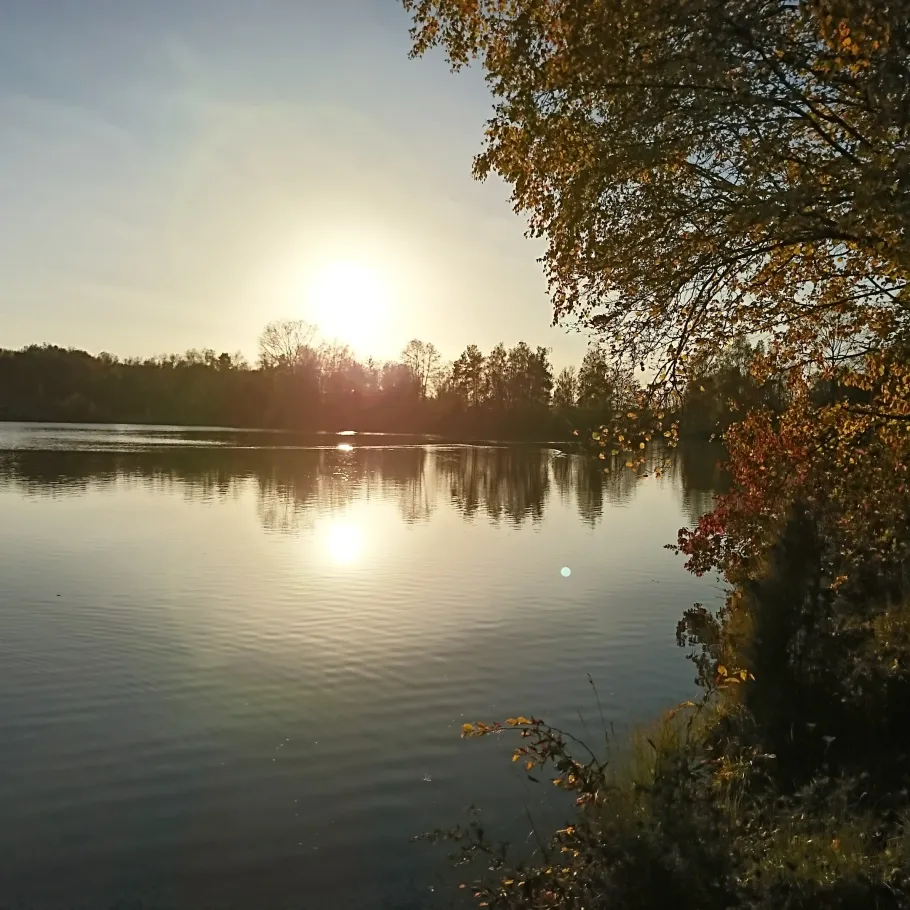 Karlsfelder See angeln