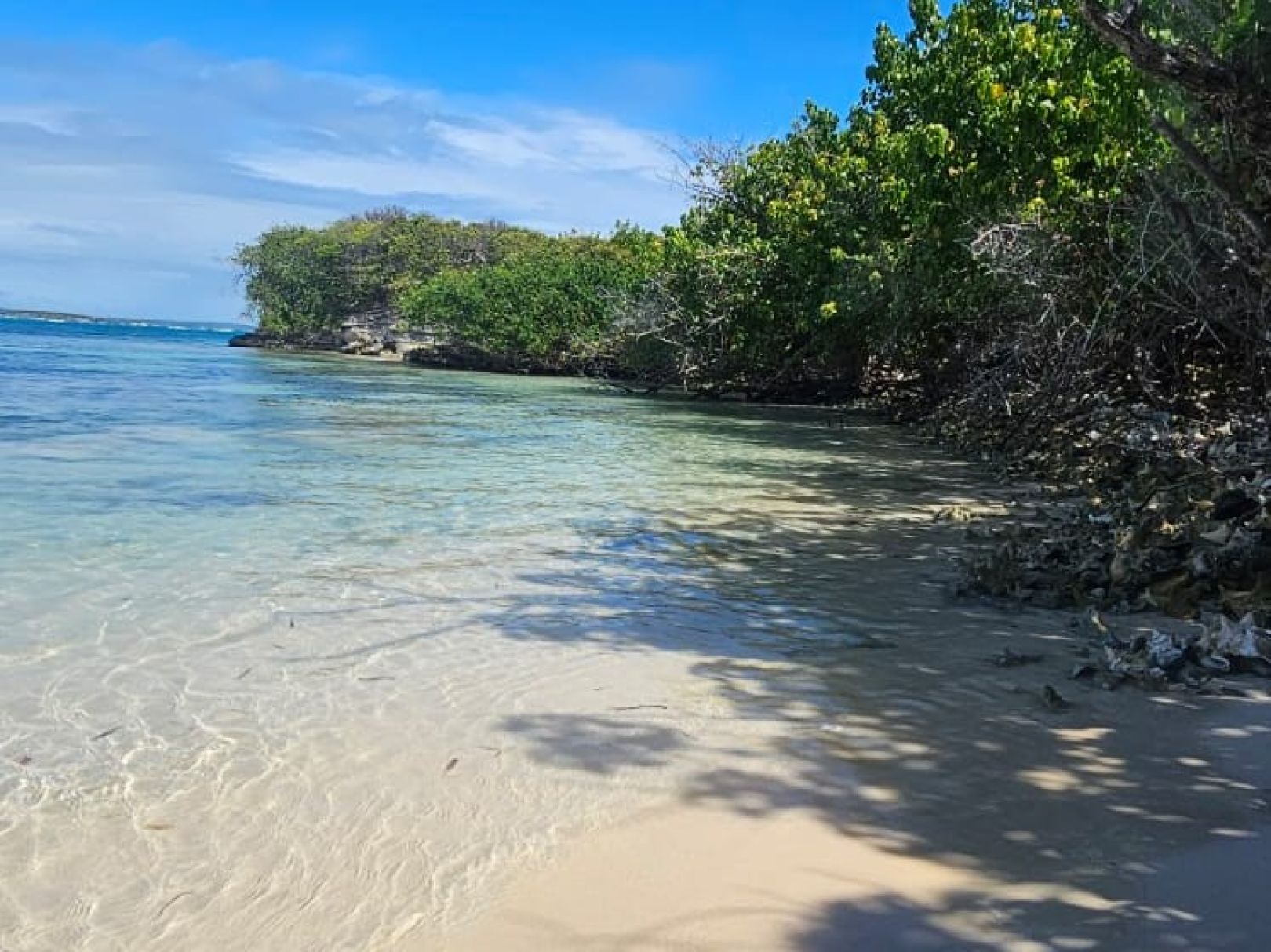 Karibisches Meer (Isla Catalinita) angeln