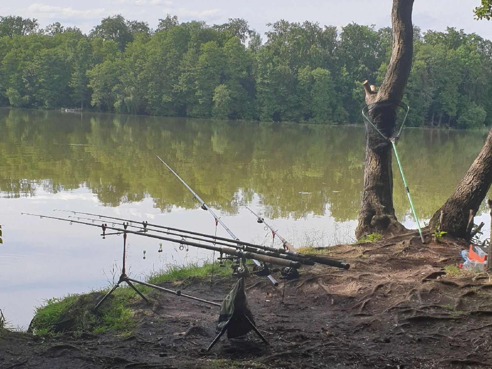Krumme Lanke (Rangsdorf) angeln