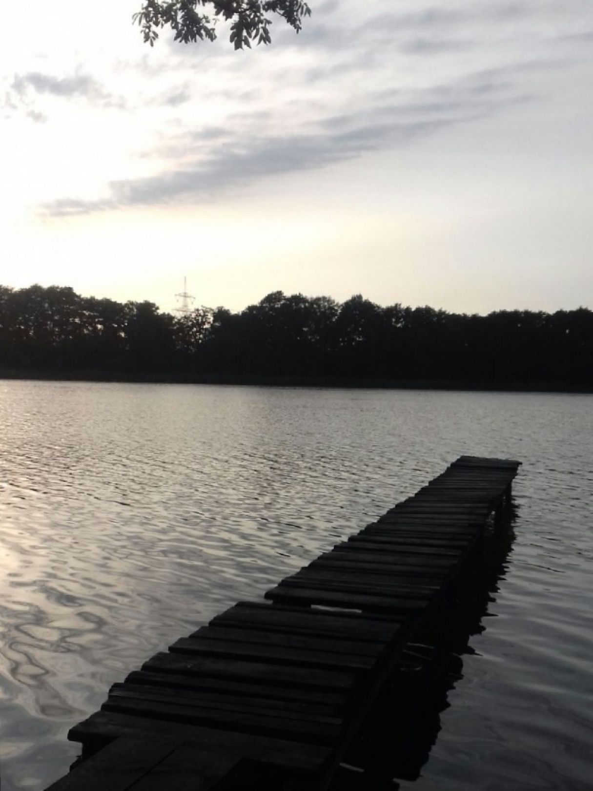 Schloßsee Wrangelsburg angeln