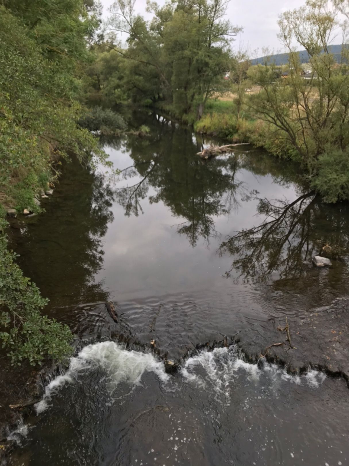 Lahn (Lahntal) angeln