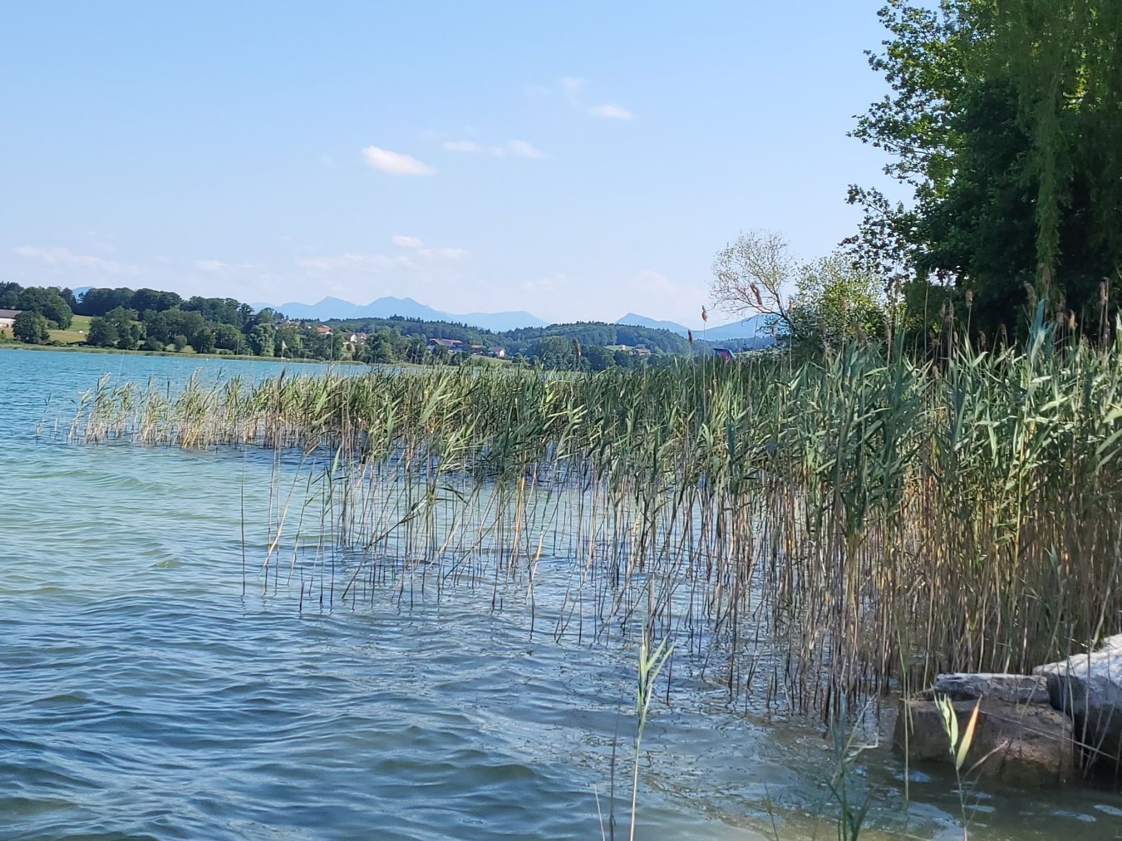 Obertrumer See angeln