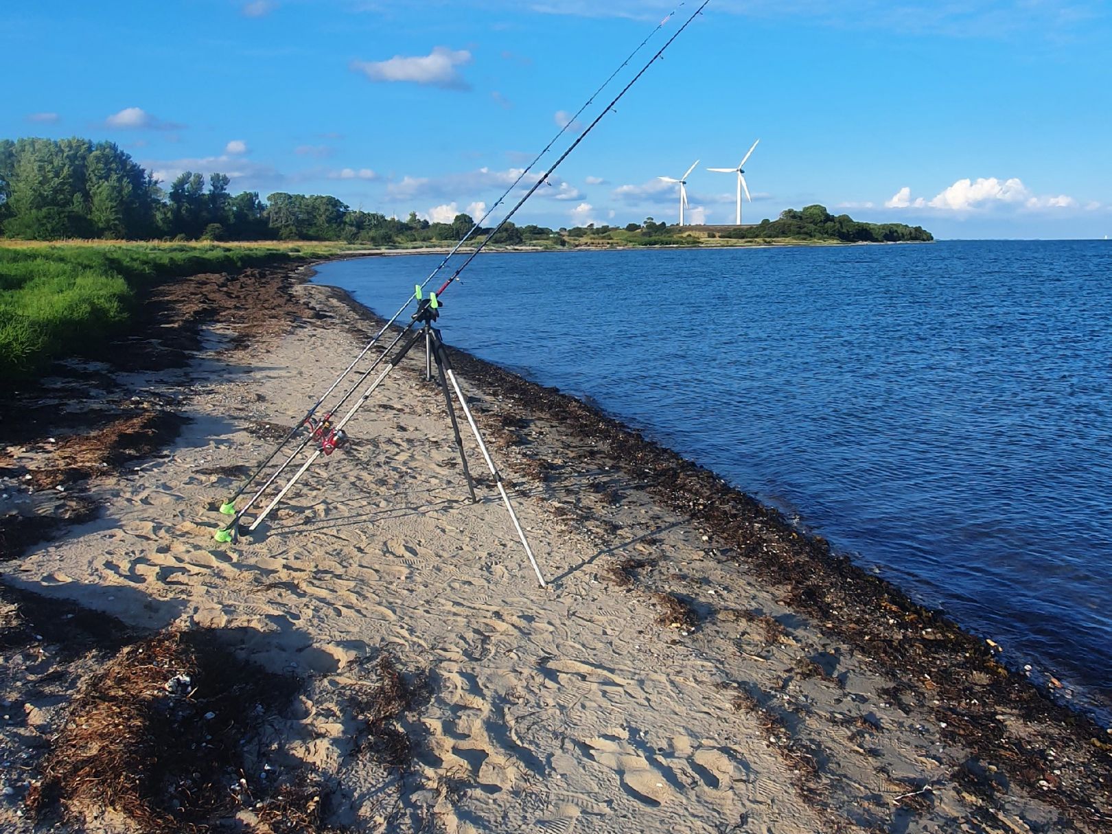 Ostsee (Kragesand) angeln