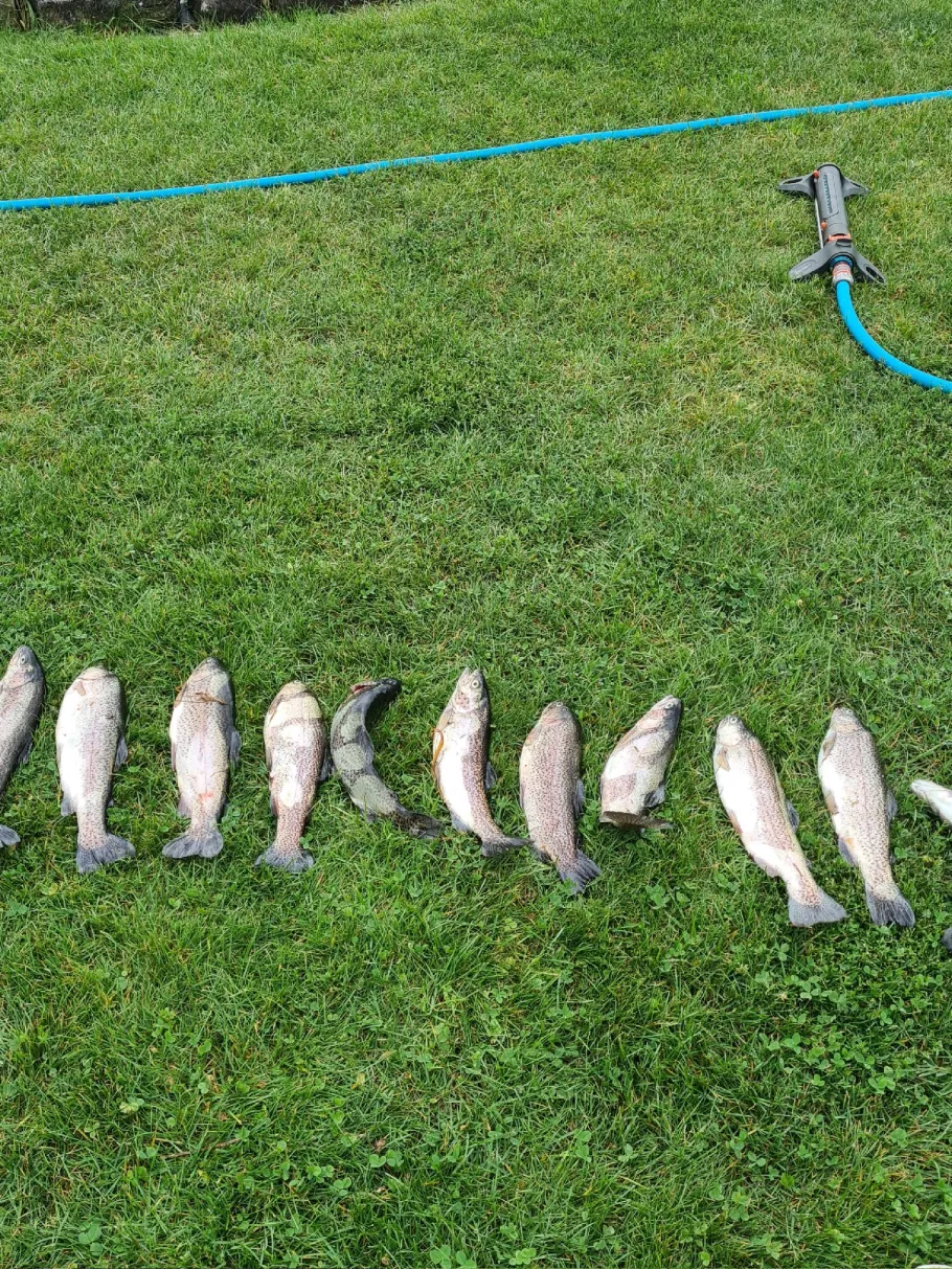 Badesee Breese angeln